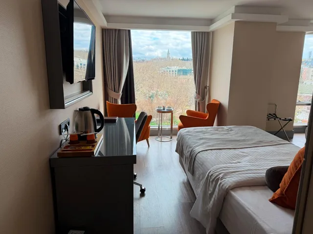 غرفة ديلوكس بسرير مزدوج أو سريرين منفصلين بإطلالة جزئية على البحر، Manesol Old City Bosphorus 9/10