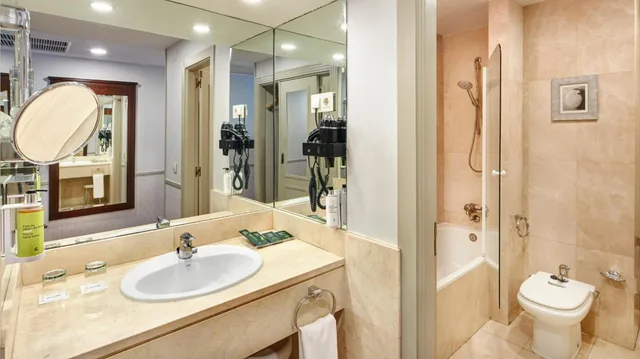 غرفة قياسية ثلاثية بسرير مزدوج وسرير فردي، Sercotel Gran Hotel Conde Duque 6/6