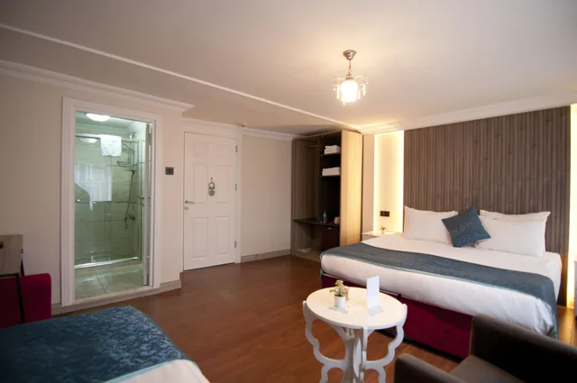 غرفة ديلوكس بسرير كوين وسرير فردي، Nar Sultan Hotel 5/10