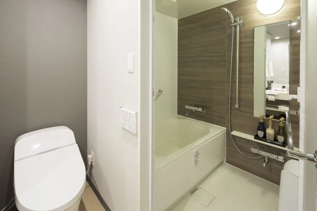 غرفة مفردة بسرير مزدوج، Shizutetsu Hotel Prezio Hakata-Ekimae 9/10