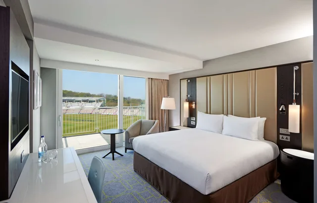 Deluxe, King Bed, Plunge View, Balcony، Hilton Southampton - Utilita Bowl 10/10