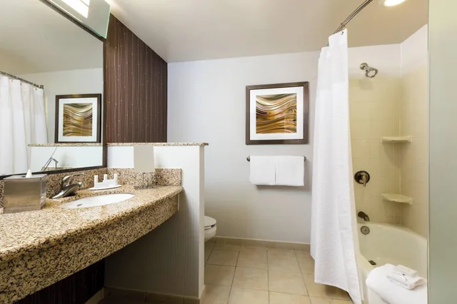غرفة بسرير مزدوج لذوي الإعاقة، Courtyard By Marriott Houston By the Galleria 2/2