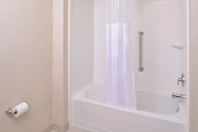 غرفة بسرير كوين لذوي الإعاقة، Hampton Inn Suites Orlando Downtown South Medical Center 3/3