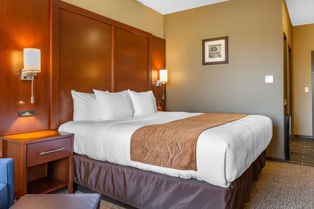جناح بسرير كينج مع أريكة لذوي الإعاقة، Comfort Inn & Suites Boise Airport 1/5