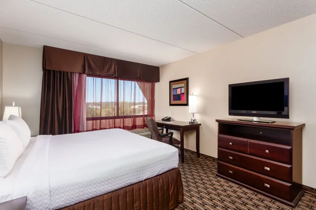 جناح بسرير كينج بغرفة نوم واحدة مع أريكة، CROWNE PLAZA MILWAUKEE AIRPORT 2/5