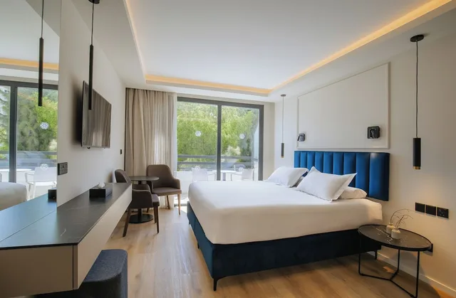 غرفة سوبيريور بسريرين منفصلين، Odysseia Hotel Kapetanios 3/6