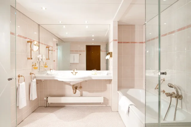 جناح مفرد، MARITIM HOTEL MAGDEBURG 3/3