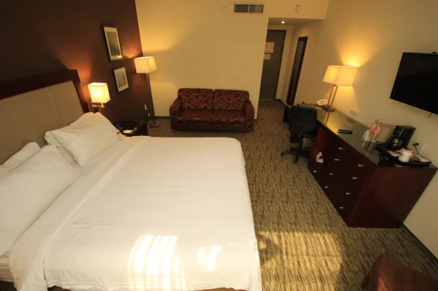 غرفة قياسية بسرير كينج، Holiday Inn Leon 9/10