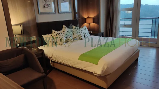 جناح بزنس بسرير مزدوج، Newtown Plaza Hotel 2/2