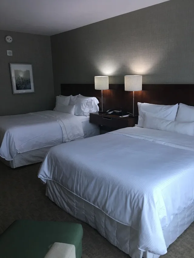 Traditional, 2 Queen Beds, Accessible, Westin Memphis Beale Street 2/8