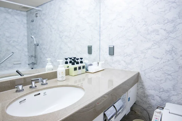 غرفة سوبيريور بسرير كوين، HOTEL CONTINENTAL 5/6