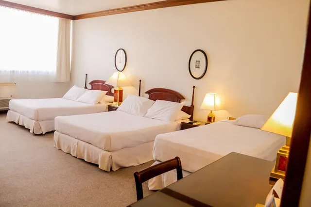 1 Bedroom, Standard, Triple, Nobile Suites Excelsior Asuncion 1/6