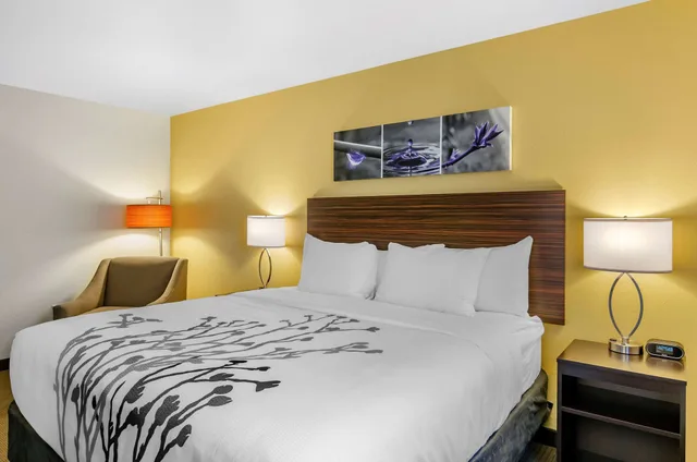 غرفة قياسية بسرير كينج، Sleep Inn & Suites Great Falls Airport 2/5