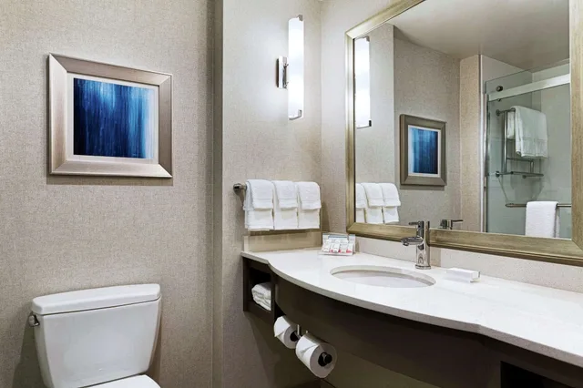 جناح بسرير كينج، Hilton Garden Inn Lenox/Pittsfield 6/6