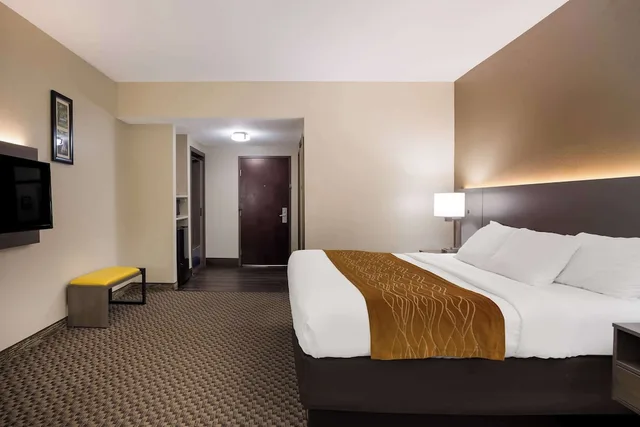 غرفة قياسية بسرير كينج، Comfort Inn & Suites Midway - Tallahassee West 2/10
