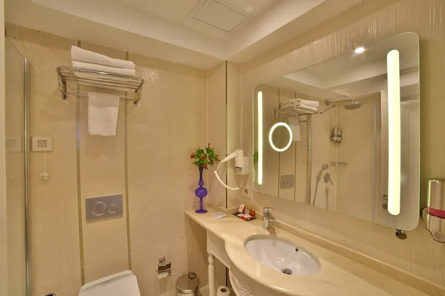 Deluxe, Triple, Yilsam Sultanahmet Hotel 5/5