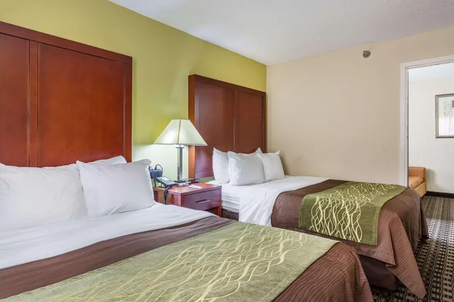 جناح بسرير كوين، Comfort Inn Decatur Priceville 1/4