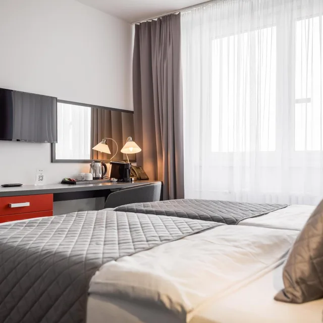 غرفة ديلوكس بسرير مزدوج أو سريرين منفصلين، Hotel Vista 3/10
