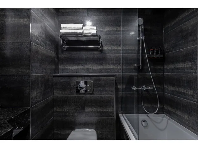 Northern, Deluxe، Lapland Hotels Oulu 4/4