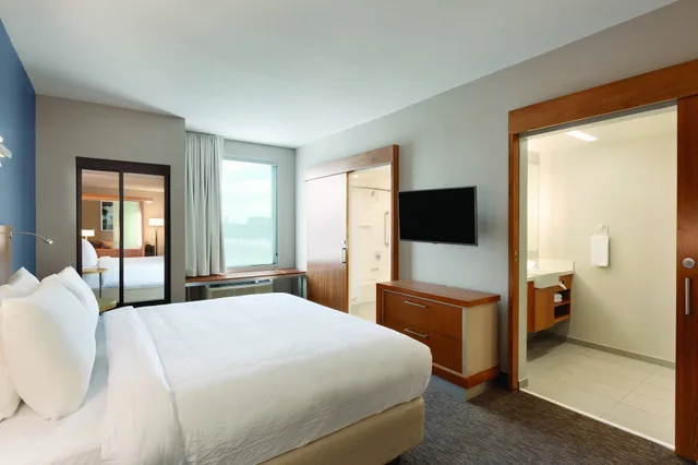 جناح بسرير كينج مع أريكة، Springhill Suites Houston Northwest 2/3