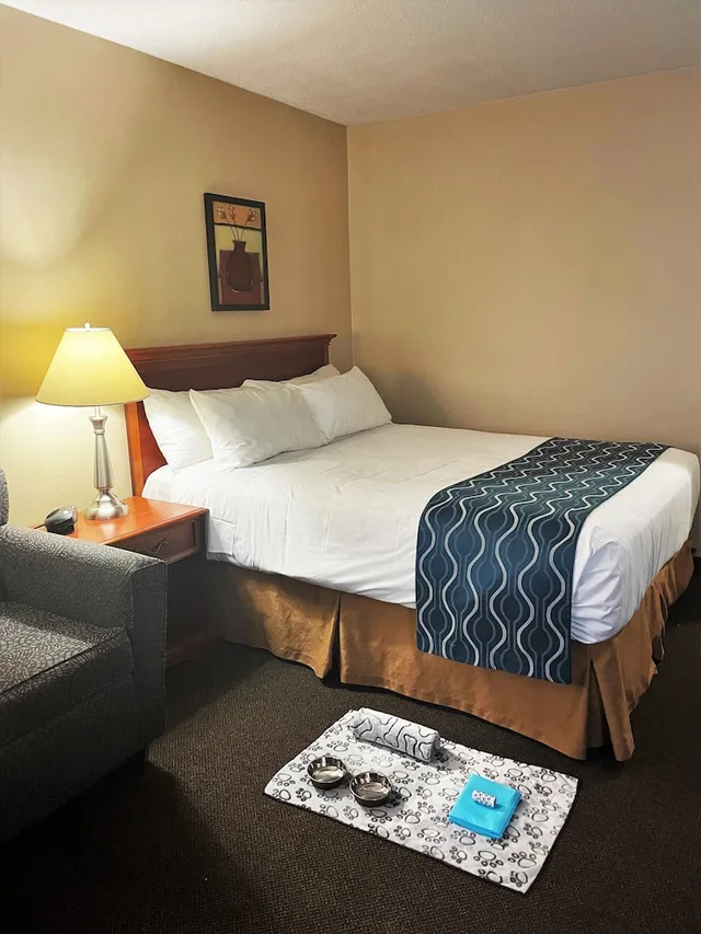 Traditional, Queen Bed, Welcominns Hotel Ottawa 3/4