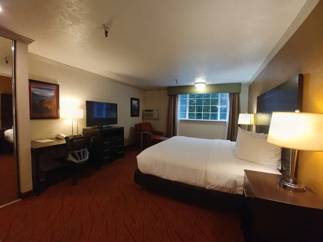 غرفة بسرير كينج لذوي الإعاقة، Best Western Plus Parkway Inn. 2/3
