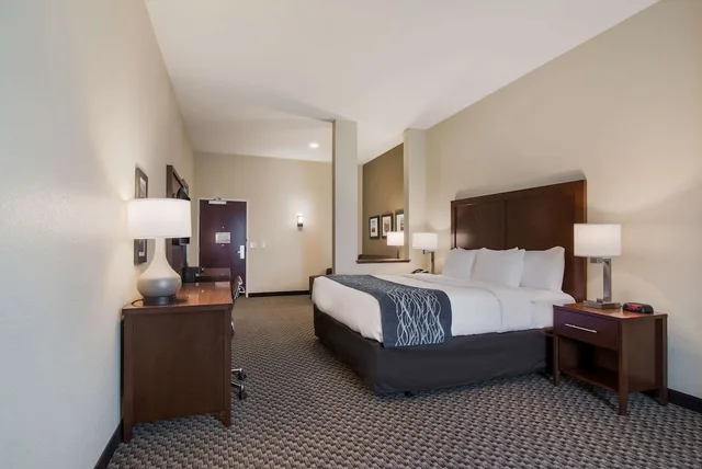 جناح بسرير كينج لذوي الإعاقة، Comfort Inn & Suites Rock Hill Northeast 1/7