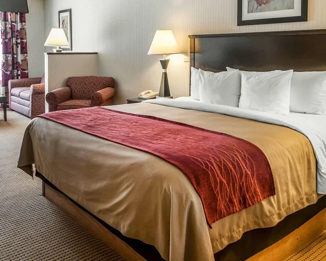 جناح بسرير كينج لذوي الإعاقة، Quality Inn Suites Farmington 1/3