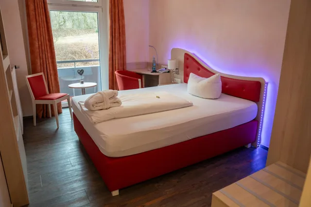 French, Single، Hotel Hochsauerland 2010 1/7