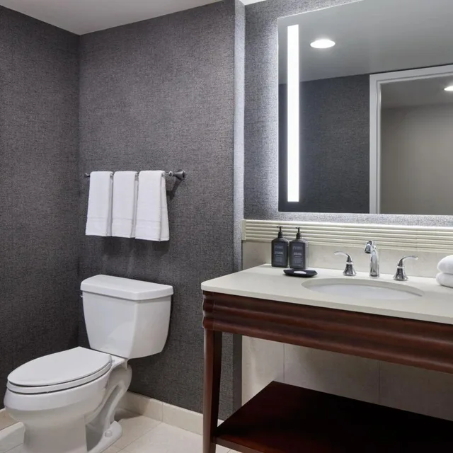 غرفة بسرير كينج بحوض استحمام لذوي الإعاقة، Sheraton Valley Forge King of Prussia 5/10
