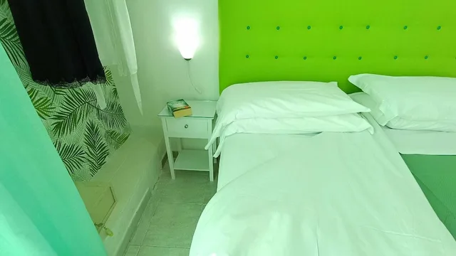 غرفة قياسية بسرير مزدوج أو سريرين منفصلين، Hotel Ischia Casa Nicola 5/10