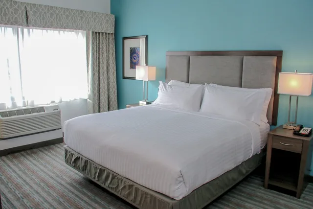 غرفة قياسية بسرير كينج، Holiday Inn Hotel Suites Denver Tech Center Centennial 2/7