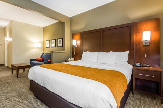 Suite, King Bed, Sofa, Comfort Suites At The University 5/10