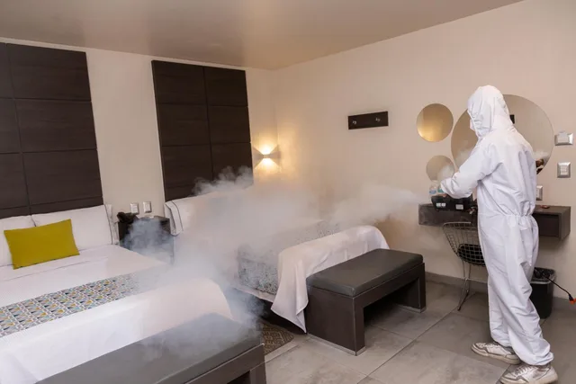 Room, Double Bed, Hotel Expo Abastos 10/10