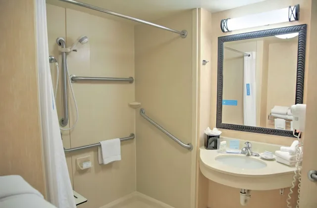 جناح ديلوكس بسرير كينج بغرفة نوم واحدة لذوي الإعاقة، Hilton Garden Inn Tupelo Ms 4/4