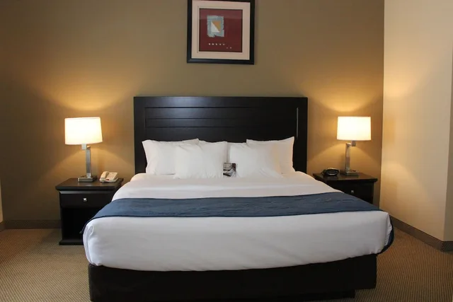 جناح بسرير كينج مع أريكة بحوض جاكوزي، Comfort Suites South Bend Near Casino 6/8