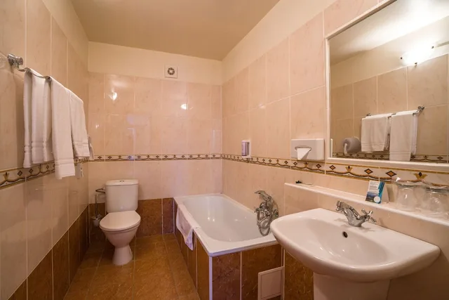 جناح ديلوكس بسرير مزدوج مع أريكة، Dixon Congress Hotel 2/2