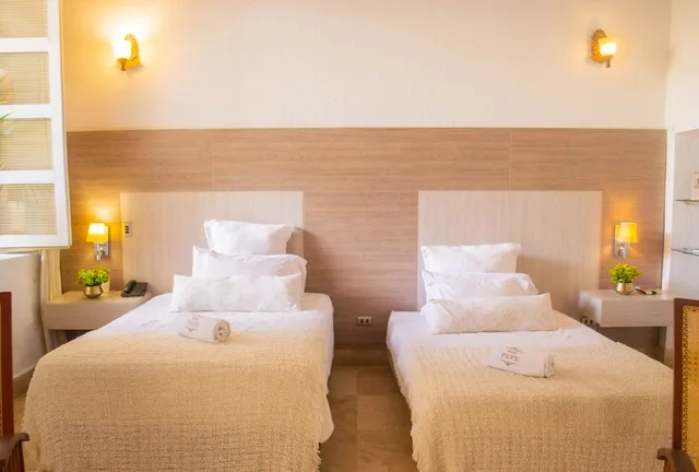 غرفة ديلوكس بسريرين منفصلين، HOTEL BOUTIQUE DON PEPE 2/4