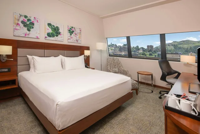 غرفة بسرير كينج، Hilton Garden Inn Mbabane Swaziland 1/8