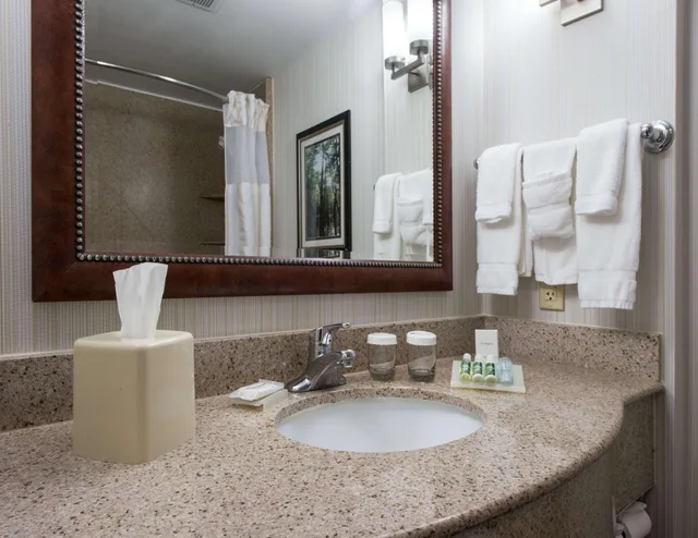 جناح بغرفة نوم واحدة، Hilton Garden Inn Lafayette Cajundome 2/2