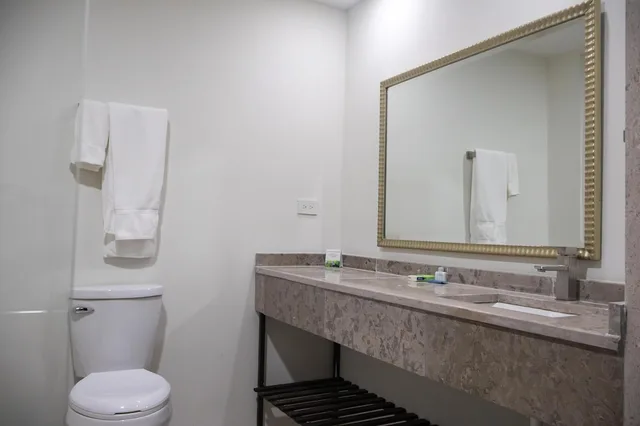 غرفة قياسية بسرير كينج لذوي الإعاقة، Best Western Plus Sacramento 3/4