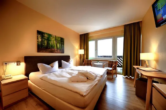 غرفة بسرير مزدوج، PANORAMA HOTEL OBERWIESENTHAL 2/5