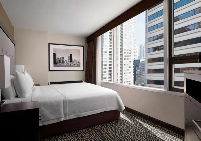 جناح استوديو بسرير كينج مع أريكة لذوي الإعاقة، Homewood Suites By Hilton Chicago Downtown/Magnificent Mile 1/2