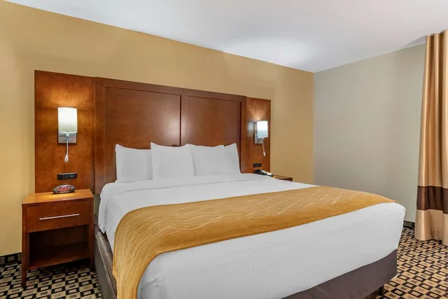 جناح مع أريكة، Comfort Inn & Suites Athens North GA 1/2