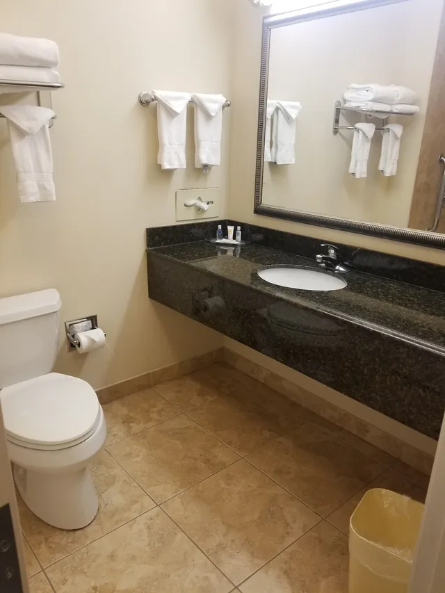 جناح بسرير كينج مع أريكة لذوي الإعاقة، Comfort Suites Valdosta Mall Area 3/4