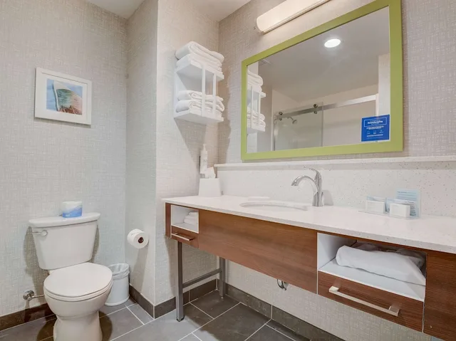 جناح استوديو بسرير كينج مع أريكة، Hampton Inn and Suites Williamstown Ark Encounter 2/10