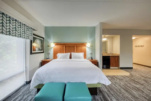 استوديو بسرير كينج مع أريكة لذوي الإعاقة، Hampton Inn Wilmington - University Area/Smith Creek Station 1/5