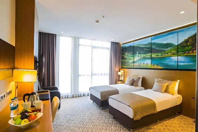 Suite, Land View, Aselia Hotel Trabzon 1/1