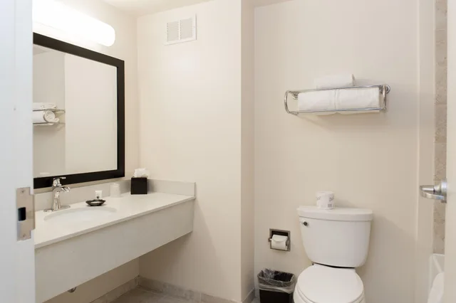 غرفة ديلوكس بسرير مزدوج، Chicago South Loop Hotel 2/2
