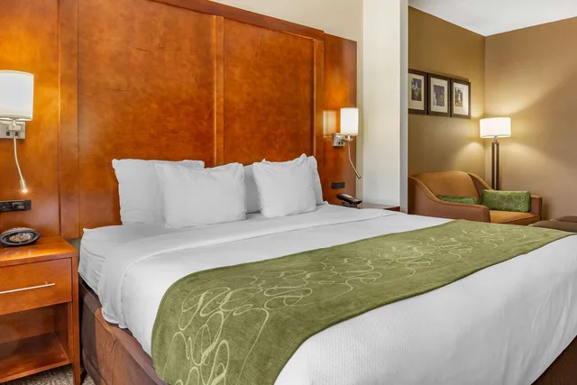 جناح بسرير كينج، Comfort Suites Dover University Area 2/3